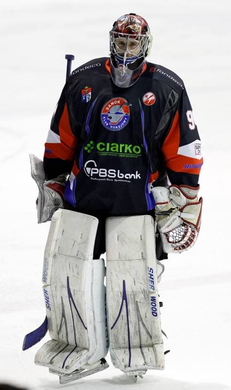 Ice Hockey. Polska Hokej Liga. GKS Tychy - Ciarko KH Sanok. 23.01.2015