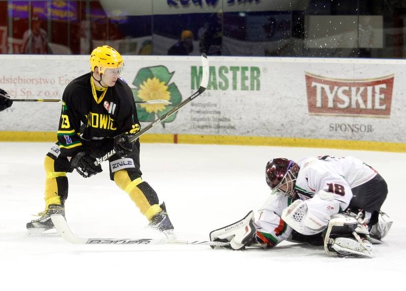 Ice Hockey. Polska Hokej Liga. GKS Tychy - HC GKS Katowice. 25.10.2013