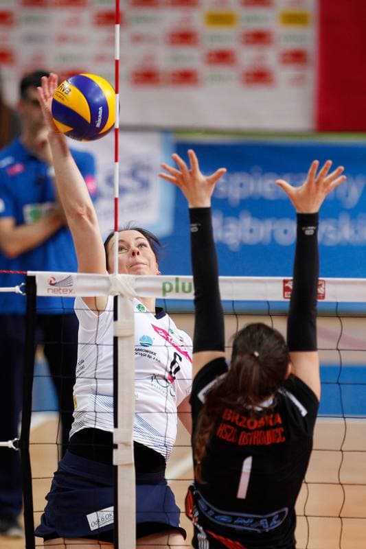 Volleyball. Orlen Liga. MKS Dabrowa Gornicza - KSZO Ostrowiec Swietokrzyski. 03.02.2016
