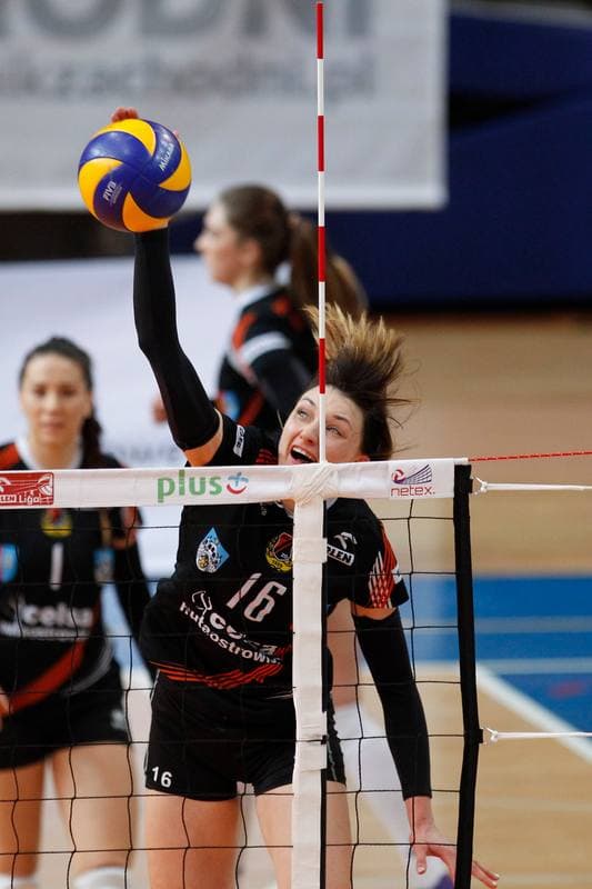 Volleyball. Orlen Liga. MKS Dabrowa Gornicza - KSZO Ostrowiec Swietokrzyski. 03.02.2016