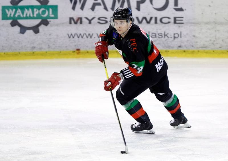 Ice Hockey. Polska Hokej Liga. Naprzod Janow - GKS Tychy. 19.10.2014