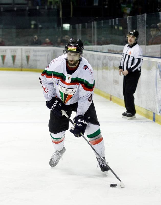 Ice Hockey. Polish Hockey League. GKS Tychy - Comarch Cracovia. 18.03.2016