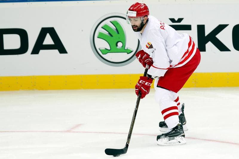 Ice Hockey. Poland national team. Training. 24.04.2016