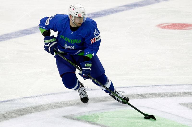 Ice Hockey. World Championship Division 1A. Slovenia - Italy. 24.04.2016