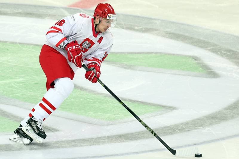 Ice Hockey. World Championship Division 1A. Poland - Slovenia. 26.04.2016