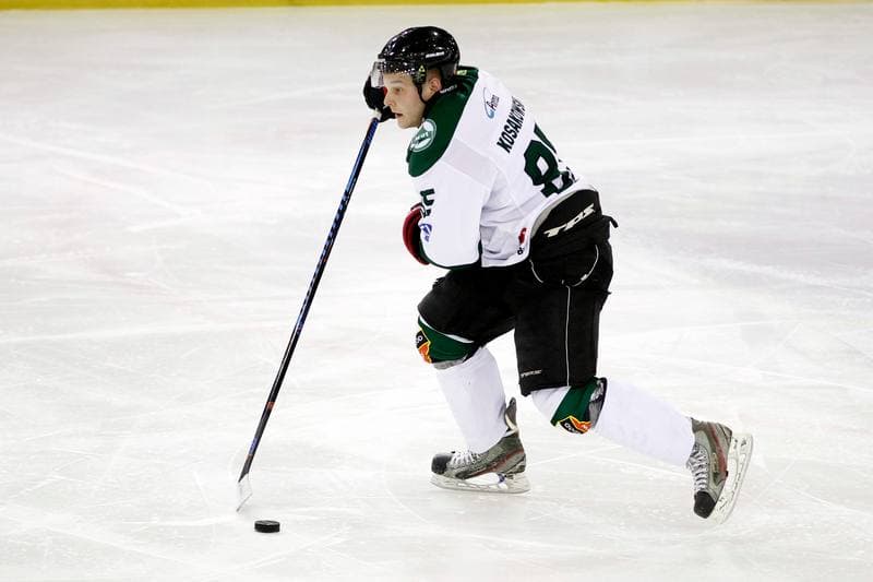 Ice Hockey. I Liga. Naprzod Janow - Zaglebie Sosnowiec. 22.01.2017