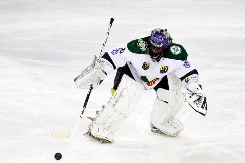 Ice Hockey. I Liga. Naprzod Janow - Zaglebie Sosnowiec. 22.01.2017