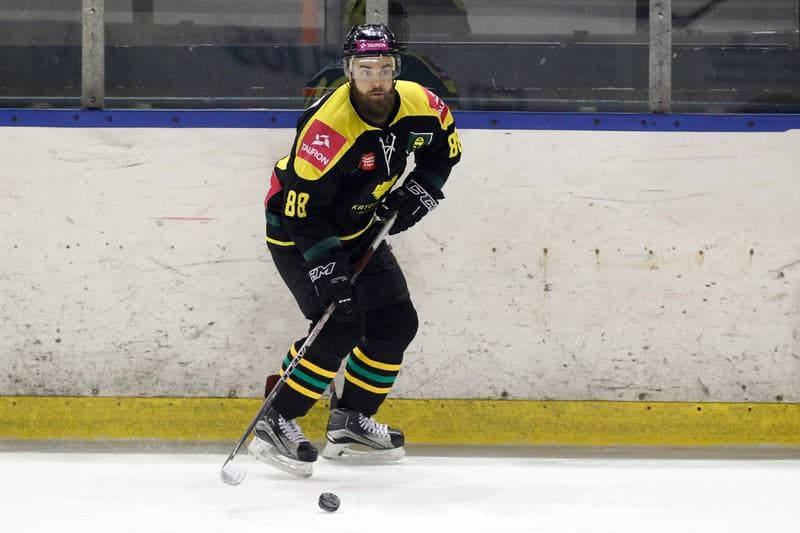 Ice Hockey. Polska Hokej Liga. SMS PZHL Sosnowiec - Tauron KH GKS Katowice. 31.01.2017