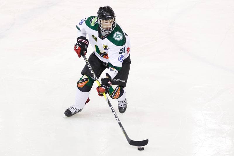 Ice Hockey. I Liga. Naprzod Janow - UKH Debica. 12.02.2017