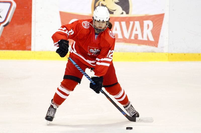 Ice Hockey. Women's Friendly Match. Poland - Ontario. 04.04.2017