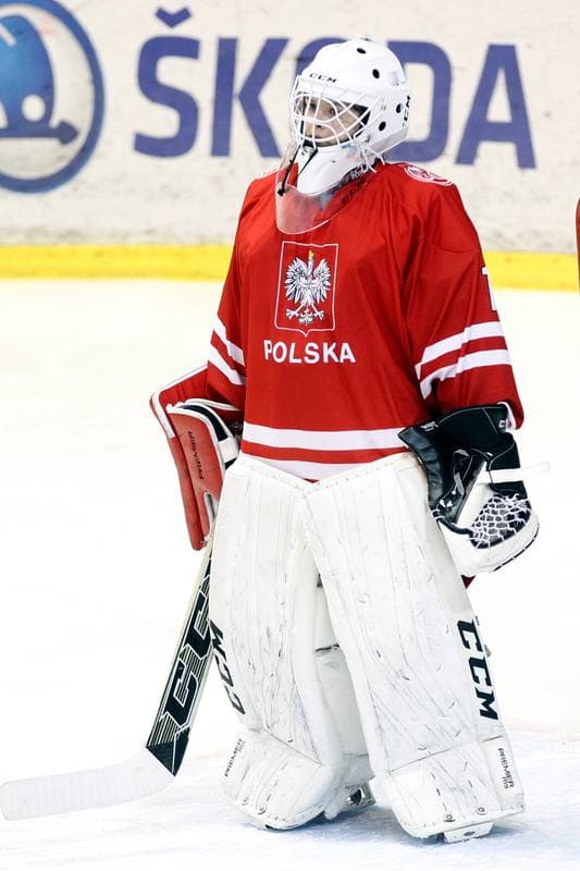 Ice Hockey. Women's Friendly Match. Poland - Ontario. 04.04.2017
