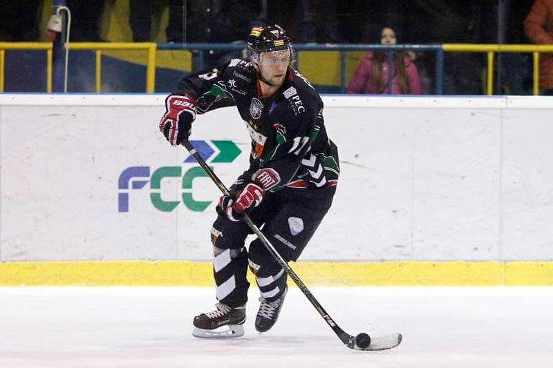 Ice Hockey. Polska Hokej Liga. Tempish Polonia Bytom - GKS Tychy. 06.01.2017