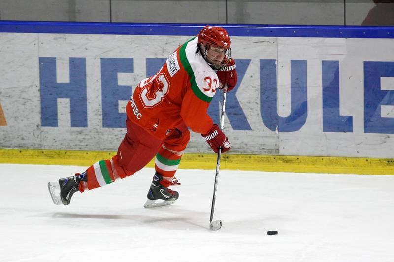 Ice Hockey. I Liga. Naprzod Janow - Zaglebie Sosnowiec. 22.01.2017