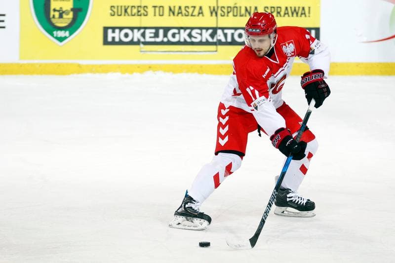Ice Hockey. Euro Ice Hockey Challenge. Poland - Slovenia. 09.02.2017