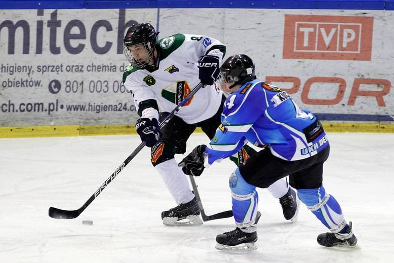 Ice Hockey. I Liga. Naprzod Janow - UKH Debica. 12.02.2017