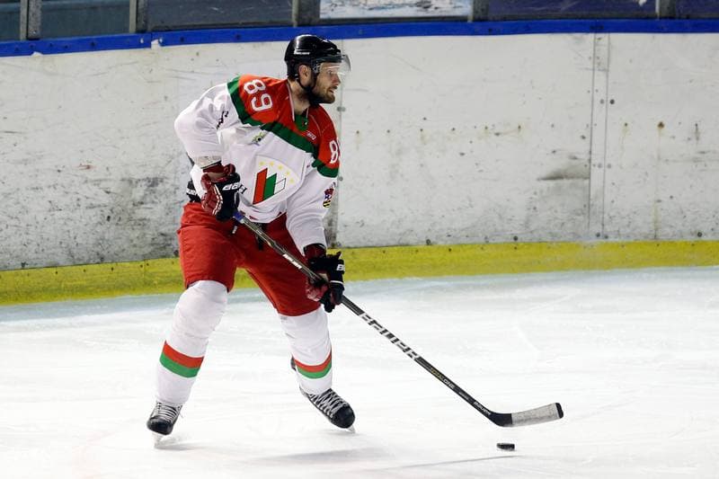 Ice Hockey. I Liga. Zaglebie Sosnowiec - UKH Debica. 18.02.2017