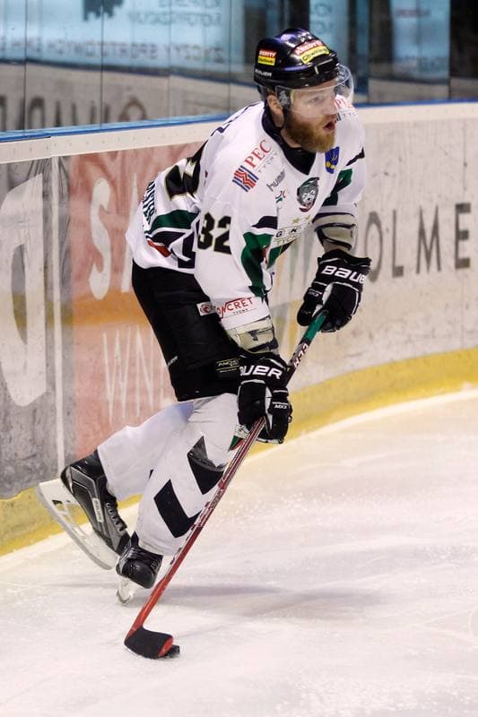 Ice Hockey. Polska Hokej Liga. GKS Tychy - Tempish Polonia Bytom. 08.03.2017