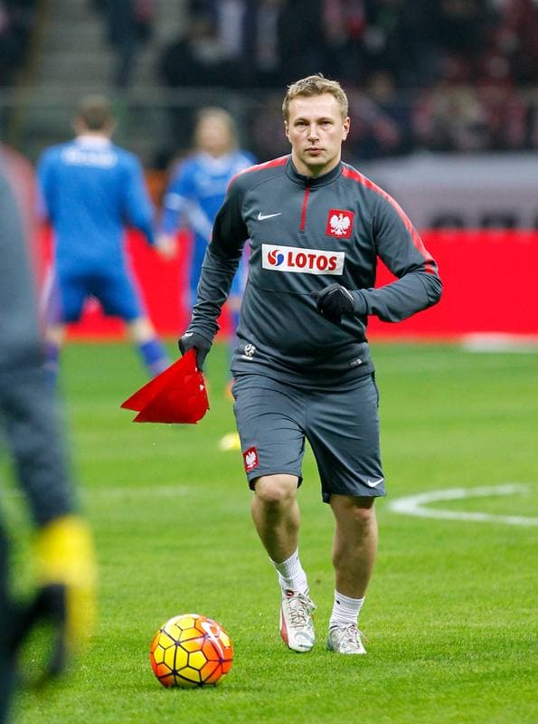 Football. International Friendly. Poland - Iceland. 13.11.2015