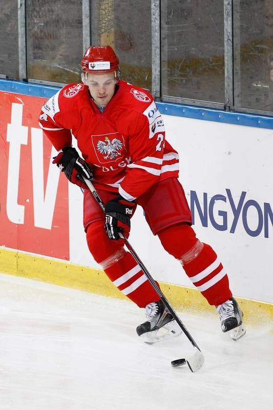 Ice Hockey. EIHC. Kazakhstan - France. 17.12.2015