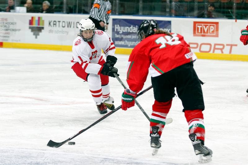 Ice Hockey. Women's Friendly Match. Poland - Hungary. 05.02.2016
