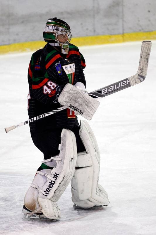Ice Hockey. Polska Hokej Liga. Polonia Bytom - GKS Tychy. 23.02.2016