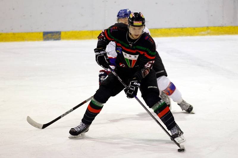 Ice Hockey. Polska Hokej Liga. Polonia Bytom - GKS Tychy. 23.02.2016