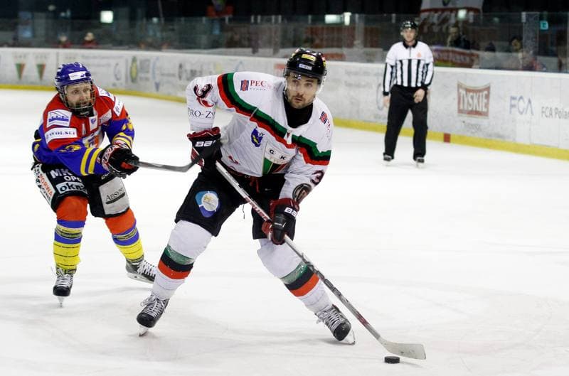 Ice Hockey. Polska Hokej Liga. GKS Tychy - Tatryski Podhale Nowy Targ. 29.02.2016