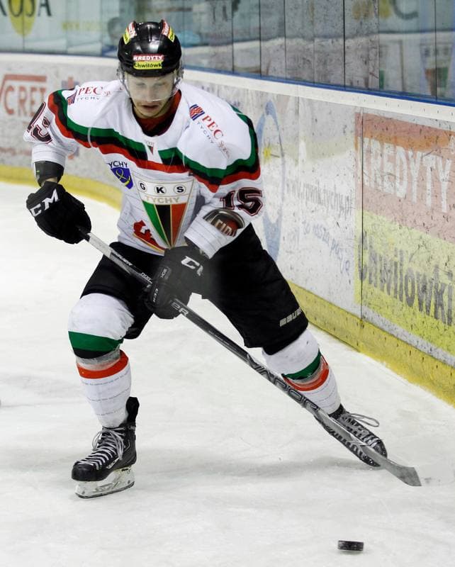 Ice Hockey. Tauron Hokej Liga. GKS Tychy - Podhale Nowy Targ. 01.03.2016
