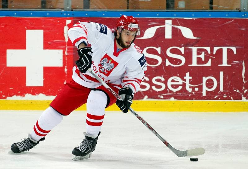 Ice Hockey. International Friendly Match. Poland - Lithuania. 14.04.2016