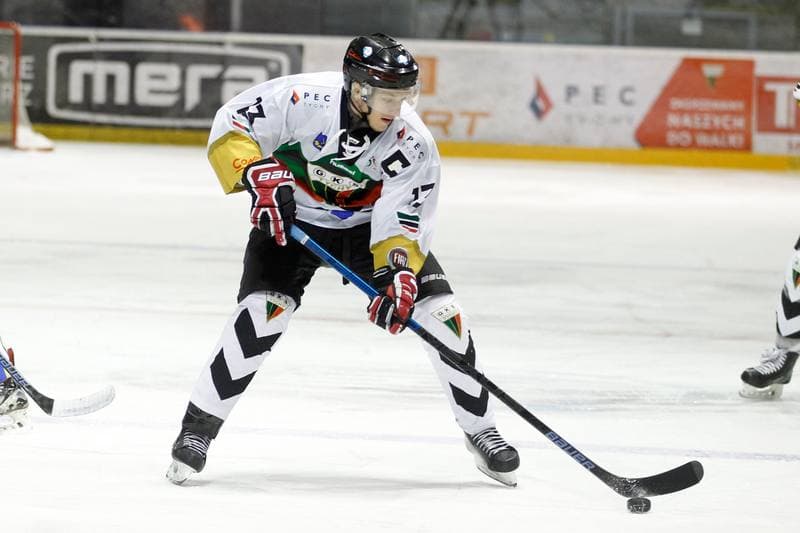Ice Hockey. Polska Hokej Liga. GKS Tychy - PGE Orlik Opole. 13.01.2019