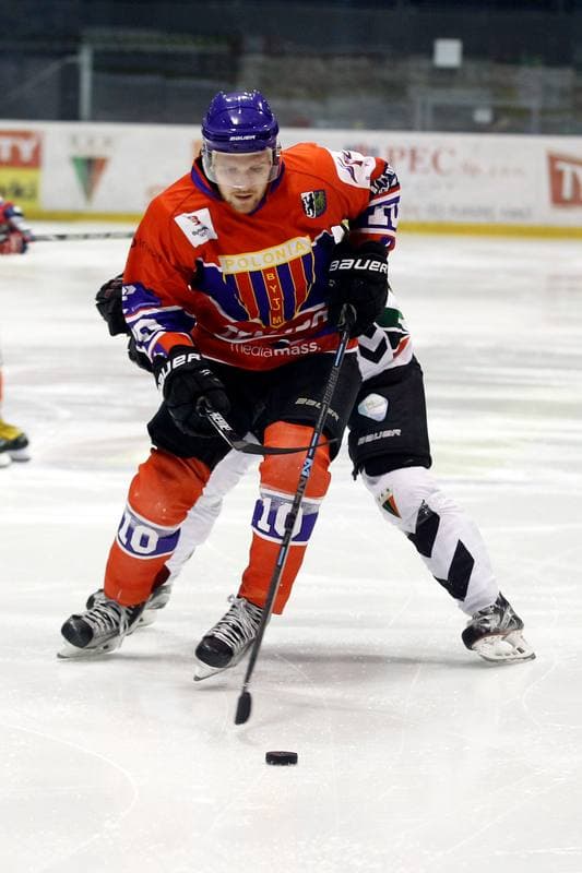 Ice Hockey. Polska Hokej Liga. GKS Tychy - Tempish Polonia Bytom. 22.01.2017