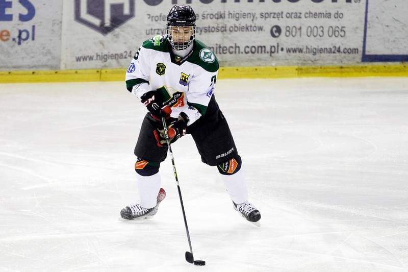 Ice Hockey. I Liga. Naprzod Janow - Zaglebie Sosnowiec. 22.01.2017
