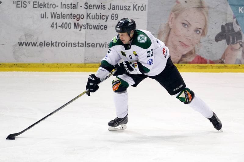 Ice Hockey. I Liga. Naprzod Janow - Zaglebie Sosnowiec. 22.01.2017