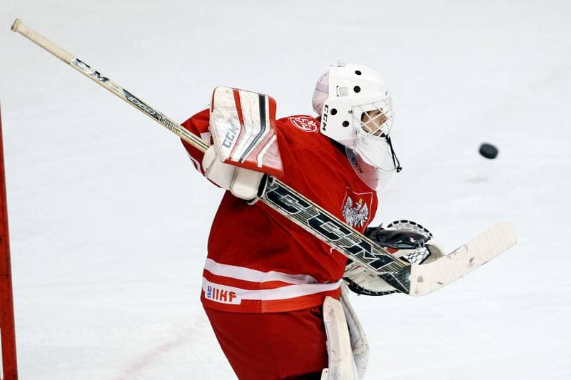 Ice Hockey. Women's Friendly Match. Poland - Ontario. 04.04.2017