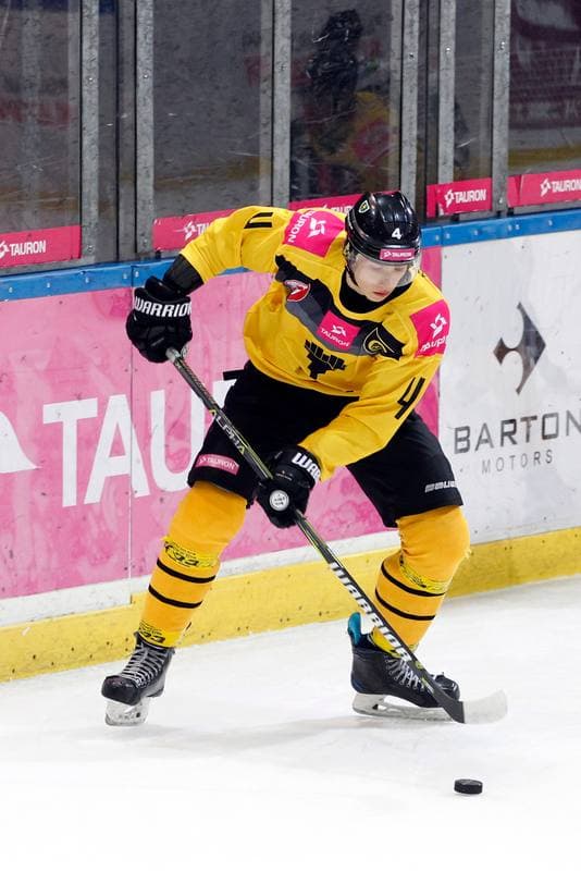 Ice Hockey. Tauron Hokej Liga. Tauron KH GKS Katowice - Anteo Naprzod Janow. 03.11.2017