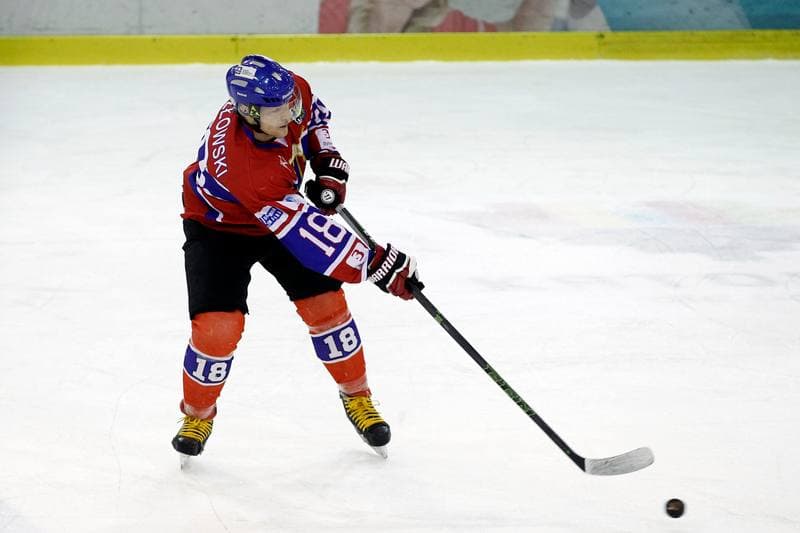 Ice Hockey. Polska Hokej Liga. Anteo Naprzod Janow - Polonia Bytom. 30.01.2018