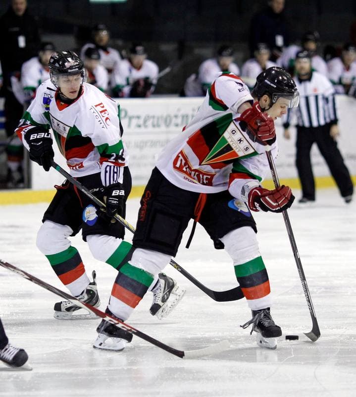 Ice Hockey. Polska Hokej Liga. GKS Tychy - Ciarko KH Sanok. 23.01.2015