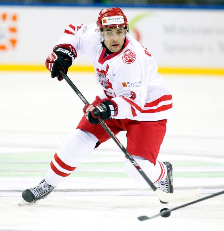 Ice Hockey. IIHF World Championship Division 1A. Poland - Japan. 20.04.2015