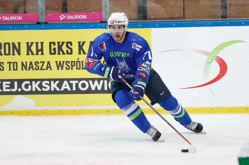 Ice Hockey. Euro Ice Hockey Challenge. Slovenia - Italy. 10.02.2017