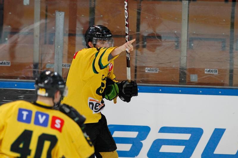 Ice Hockey. Polska Hokej Liga. HC GKS Katowice - Aksam Unia Oswiecim. 10.01.2014