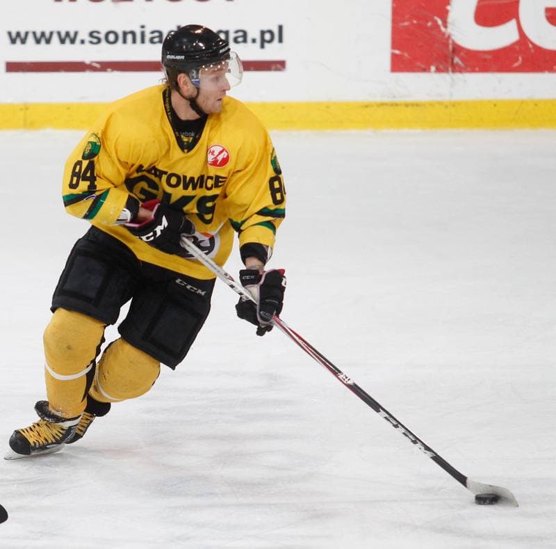 Ice Hockey. Polska Hokej Liga. HC GKS Katowice - Podhale Nowy Targ. 25.02.2014