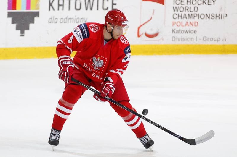 Ice Hockey. International Friendly Match. Poland - Korea. 16.04.2016