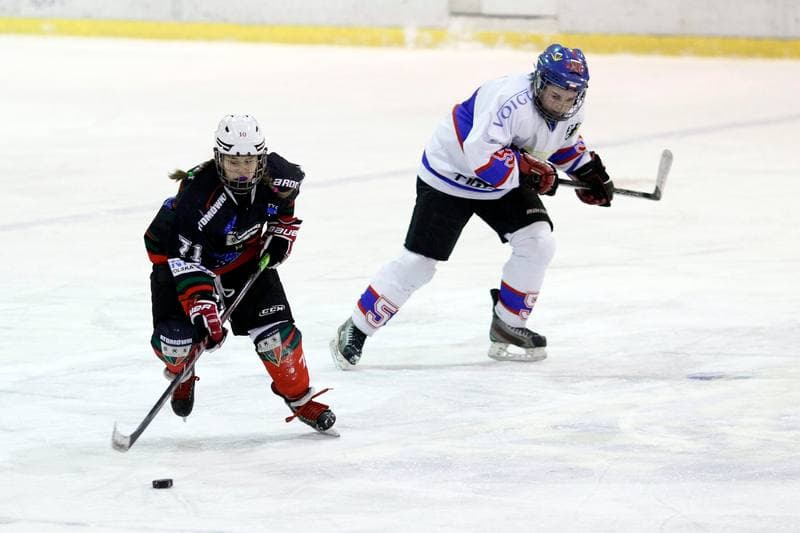 Ice Hockey. PLHK. Polonia Bytom - Atomowki Tychy. 27.01.2017