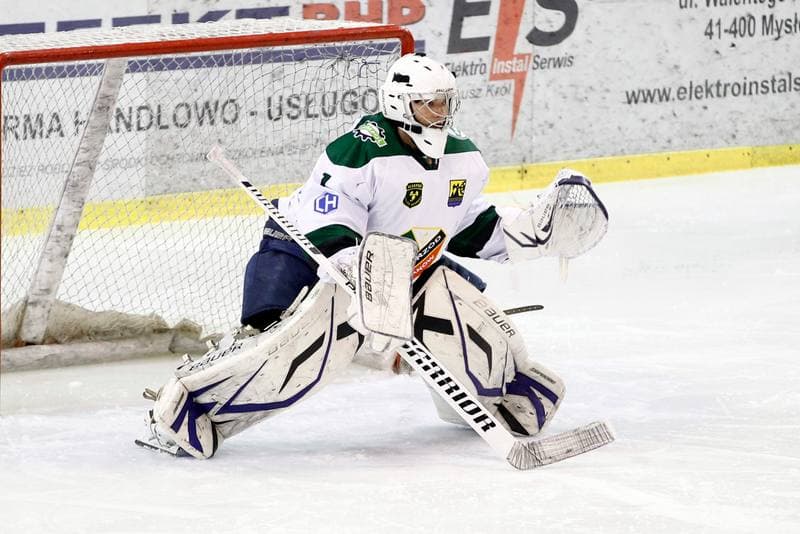 Ice Hockey. I Liga. Naprzod Janow - Hokej Poznan. 18.02.2017
