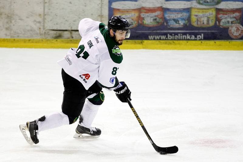 Ice Hockey. I Liga. Naprzod Janow - Zaglebie Sosnowiec. 12.03.2017