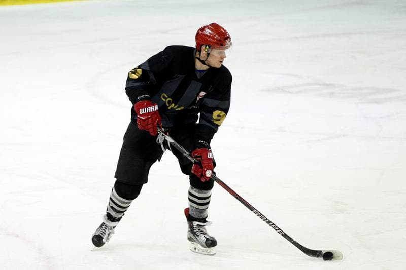 Ice Hockey. Polska Hokej Liga. Anteo Naprzod Janow - Comarch Cracovia Krakow. 19.01.2018