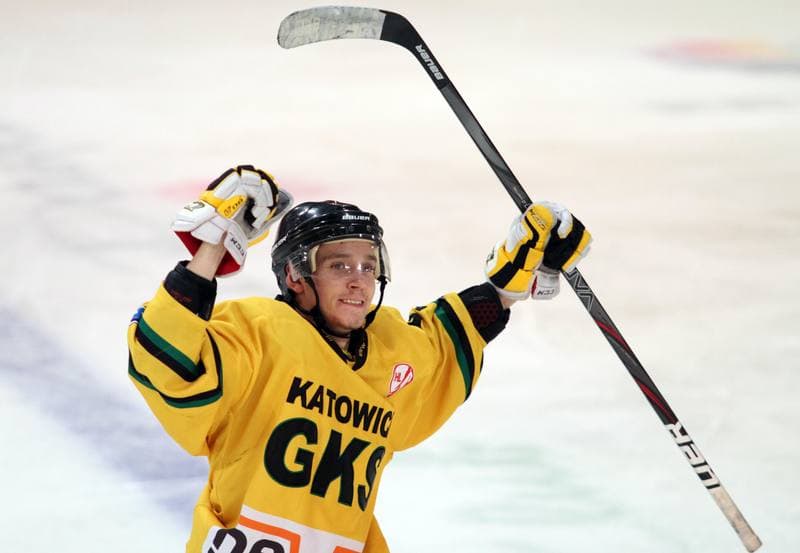Ice Hockey. Polska Hokej Liga. HC GKS Katowice - Polonia Bytom. 26.01.2014