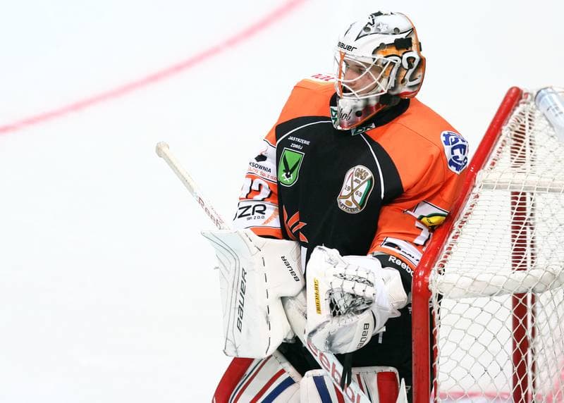Ice Hockey. Polska Hokej Liga. Polonia Bytom - JKH GKS Jastrzebie. 31.01.2014