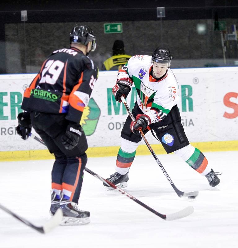 Ice Hockey. Polska Hokej Liga. GKS Tychy - Ciarko KH Sanok. 23.01.2015