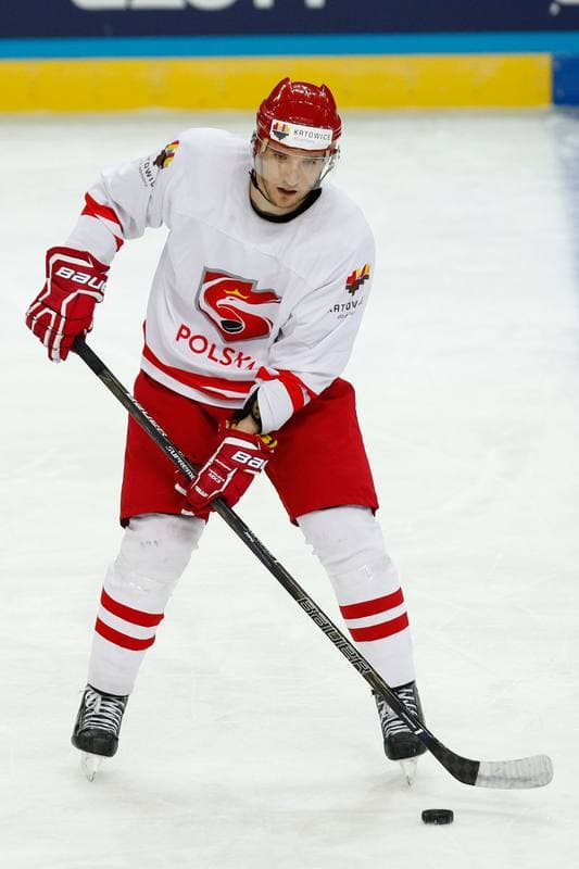 Ice Hockey. Poland national team. Training. 24.04.2016